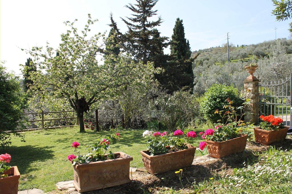 Casa Mezzuola Agriturismo Villa Greve in Chianti Exterior foto